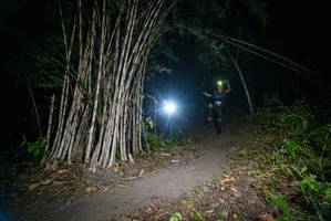 BIB: 
                            <button type="button" onclick="openModal(19398776)" class="btn btn-primary btn-sm float-right btn-popup" data-toggle="modal" data-target=".modal-high-quality">
                        <i class="fas fa-shopping-cart"></i> Add to Cart
                    </button>
                                            <button type="button" onclick="isThisMe(19398776, true)" class="btn btn-success btn-sm float-right btn-popup btn-isme hidden" data-toggle="tooltip" data-placement="bottom" title="นี่คือรูปของคุณใช่ไหม คลิกที่นี่เพื่อเอาเข้าอัลบั้ม">
                        <i class="fas fa-plus"></i> Add to album
                    </button>
                    <button type="button" onclick="isThisMe(19398776, false)" class="btn btn-warning btn-sm float-right btn-popup btn-isnotme hidden">
                        <i class="fas fa-ban"></i> Remove from album
                    </button>